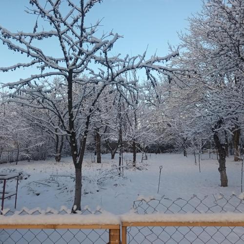 a snow covered park with trees and a fence at Casa O&A in Cristian