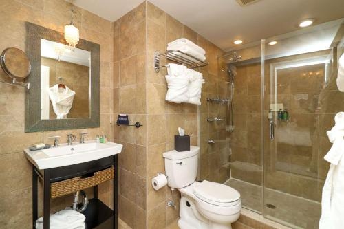 a bathroom with a toilet and a shower and a sink at The Peacock Inn, an Ascend Collection Hotel in Princeton