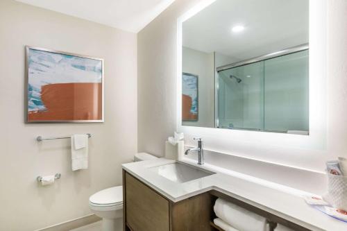 a white bathroom with a sink and a toilet at Comfort Suites Fort Myers East I-75 in Fort Myers