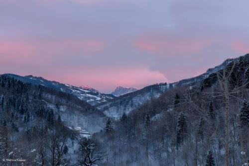 a view of a snow covered forest with mountains at Le Fratte in Pertica Alta