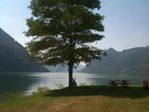 a picnic table next to a tree next to a lake at Le Fratte in Pertica Alta