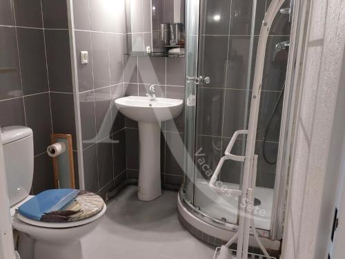 une salle de bain avec une douche, des toilettes et un lavabo dans l'établissement T2 loggia, residence avec piscine entre ville et plages, à Sète
