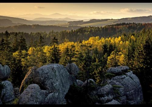 a view of a mountain with trees and rocks at Pension Dita - Adršpach in Teplice nad Metují