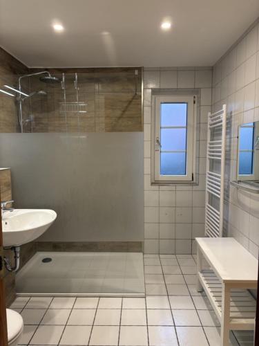 a bathroom with a shower and a sink and a toilet at Pension Windrose in Prerow