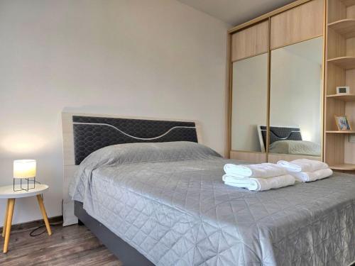 Spacious & Cozy Apartment