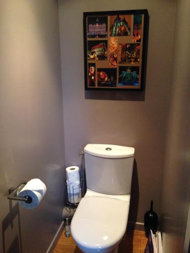 a bathroom with a toilet with a picture on the wall at Les Toits de Lyon in Lyon