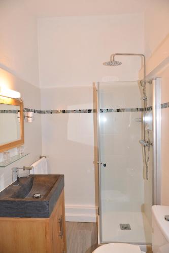 a bathroom with a shower and a toilet and a sink at Hôtel Colisée-Verdun Centre Gare Saint-Roch in Montpellier