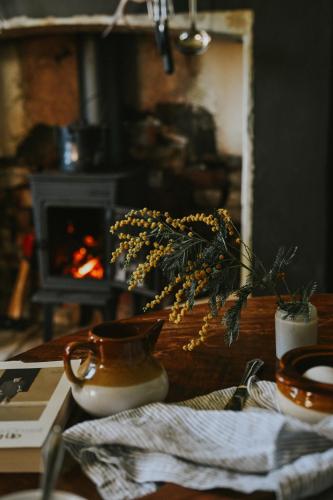 a table with a vase on a table with a fireplace at Two Brothers' Cabin in Deeside