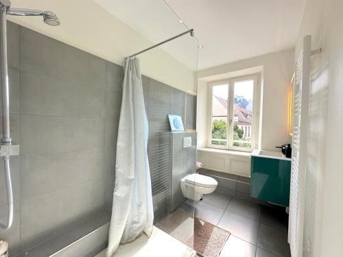 une salle de bain avec douche et toilettes et une fenêtre dans l'établissement Bel appartement au cœur de Strasbourg, à Strasbourg