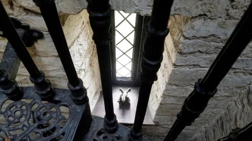 a view from the top of a window with a donkey at Entire Castle & Grounds for 18, Banquet Hall & BBQ in Trowbridge