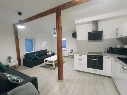 Kuchyňa alebo kuchynka v ubytovaní Apartament Wolności