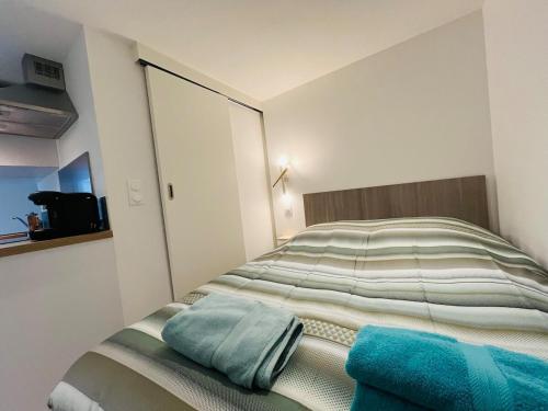 une chambre avec un grand lit avec un miroir dans l'établissement Le Lys Bleu, à Angers