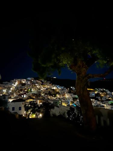 Gallery image of Astypalea Apartments in Astypalaia Town