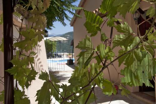 une plante à feuilles vertes à côté d'un bâtiment dans l'établissement Villa avec vue et piscine privée, à Bendéjun