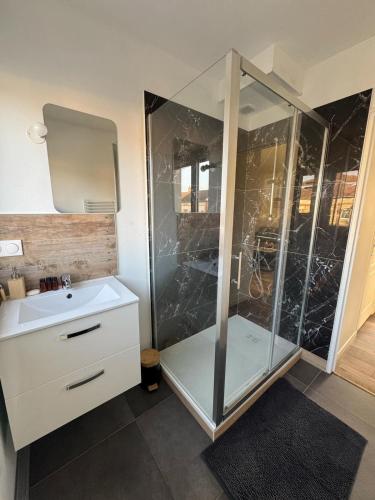 une salle de bain avec une douche en verre et un lavabo dans l'établissement Le 77! Apartment type 2, à Châlons-en-Champagne
