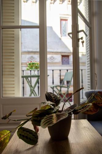 Le Banksy hyper centre avec terrasse