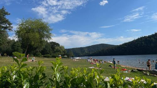 Fotografie z fotogalerie ubytování Kemp Andělská laguna Slapy v destinaci Nalžovice