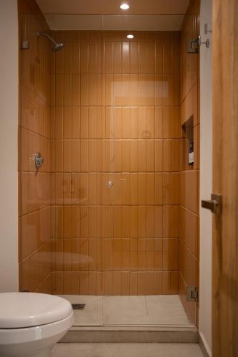 a bathroom with a shower with a toilet at Crisol Suites Condesa in Mexico City