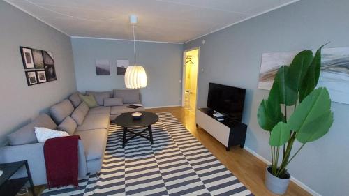 TV o dispositivi per l'intrattenimento presso 2 Bedroom apartment close to Branäs Resort