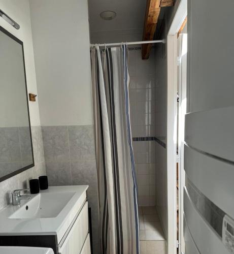 une salle de bain avec un rideau de douche et un lavabo dans l'établissement Studio confortable Le Grand Pelvoux, à Les Claux