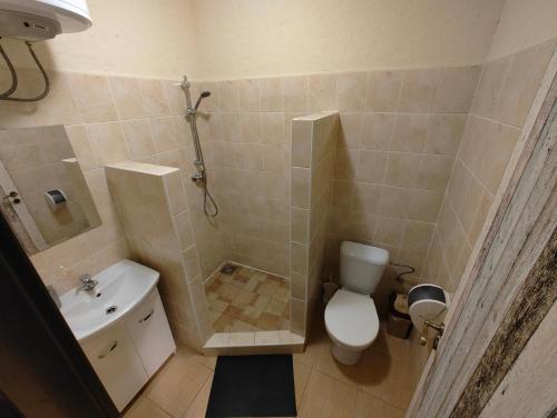 a bathroom with a toilet and a shower and a sink at Areál SLZA in Sečovce