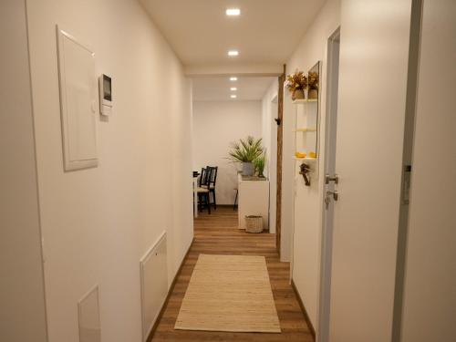 Φωτογραφία από το άλμπουμ του D'obra Hopf σε Rettenbach