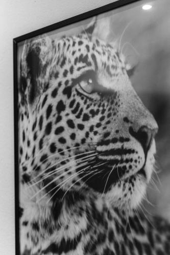 a black and white picture of a leopard at Modena Relax Luxury Rent Rooms in Modena