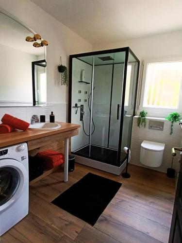 La salle de bains est pourvue d'une douche, d'un lavabo et d'un lave-linge. dans l'établissement Au Pied De La Colline calme et détente Pézenas, à Pézenas