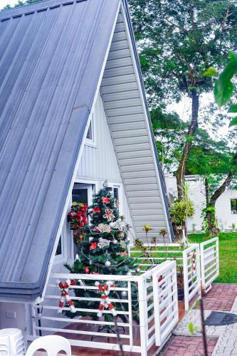 a christmas tree on the steps of a house at Cozy A Cabin Escape Your Tranquil Getaway Awaits in Hermosa