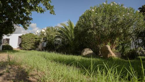 a yard with a bush and rocks in the grass at Welcomely - Villa Chiara in Costa Rei