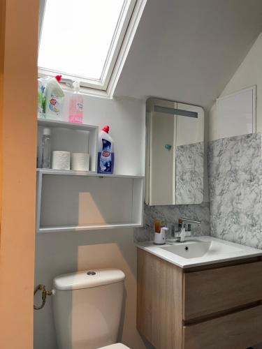 La salle de bains est pourvue de toilettes, d'un lavabo et d'une lucarne. dans l'établissement Le Nid, à Bout dʼAmont