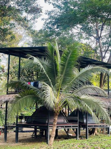 Imagen de la galería de Khaosok Monkeys & River Camps, en Khao Sok