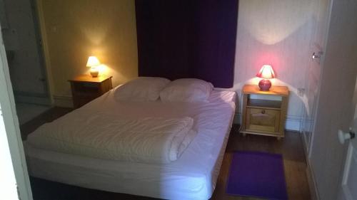 une chambre avec un lit et deux tables de nuit avec lampes dans l'établissement apartment t2 cure thermale 200 m, à Bourbon-lʼArchambault