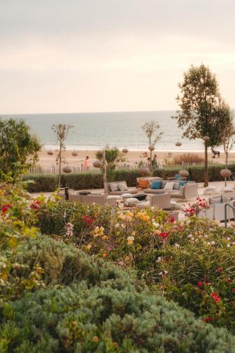 a view of a beach with chairs and flowers at Hyatt Regency Taghazout in Taghazout