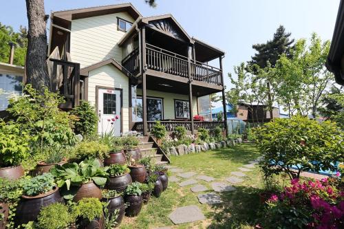 a house with lots of potted plants in front of it at Modni Pension in Taean