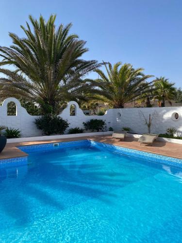a swimming pool with palm trees and a white wall at Las Banderas in Parque Holandes