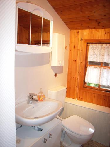 a bathroom with a sink and a toilet at Stolley - Ferienhaus mit Garten, Kamin und Sauna in Silberstedt