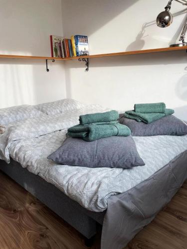 una cama con dos almohadas encima en Mini-apartment z pięknym widokiem na Tatry, en Murzasichle