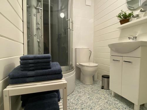 a bathroom with a shower and a sink and a toilet at Domek-noclegi in Sandomierz