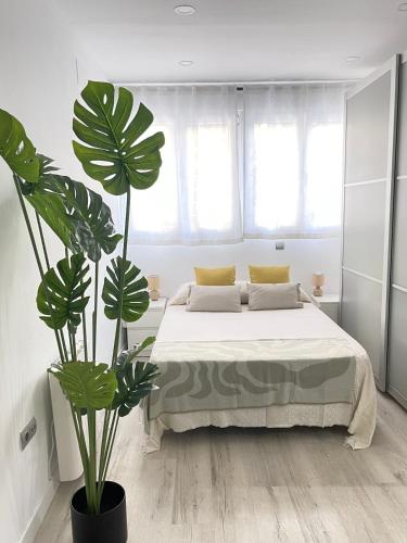 M3 Loft Privado para 4 personas