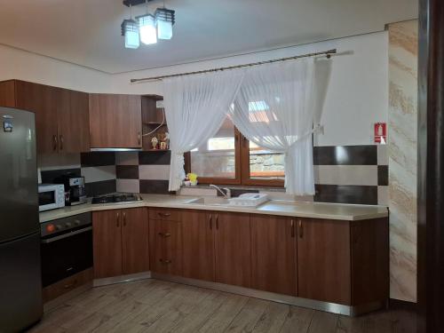 プトナにあるPensiunea Putnisoaraのギャラリーの写真