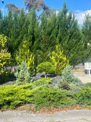 a group of trees in a garden with a bench at Budget Hotel Melun Sud - Dammarie Les Lys in Dammarie-lès-Lys