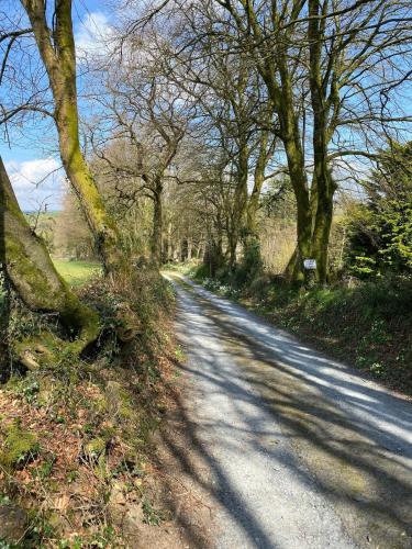 a dirt road with trees on the side of it at The Tall Barn in Rose Ash