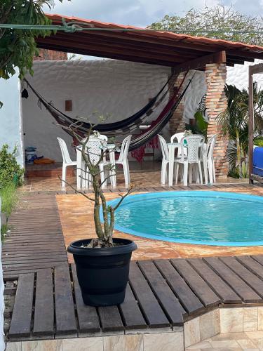 a potted plant on a wooden deck next to a pool at Recanto Dos Lençóis in Barreirinhas