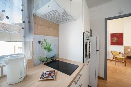 Il comprend une cuisine équipée d'un comptoir et d'un réfrigérateur. dans l'établissement L'Écrin des Bains - A 200m des Thermes, à Amélie-les-Bains-Palalda