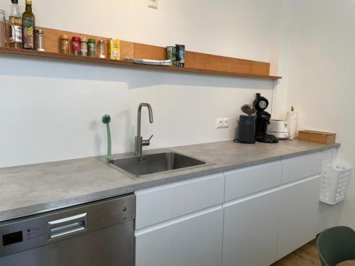 Cuisine ou kitchenette dans l'établissement SCHEE Apartments am Löpsinger Tor