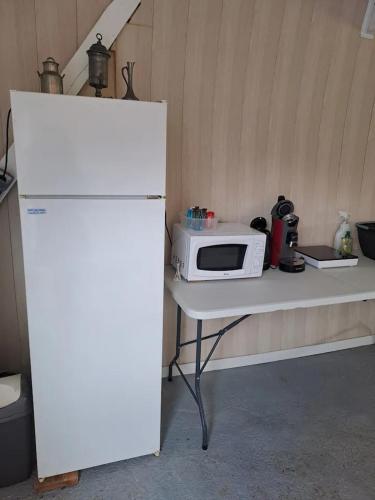 a white microwave sitting on a table next to a refrigerator at Chez Elle in Amboise