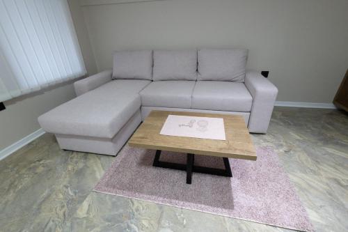 a living room with a couch and a coffee table at Vila Sofija Banja Vrujci in Gornja Toplica