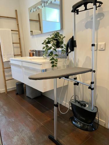 - un comptoir de salle de bains avec une plante assise sur un bureau dans l'établissement Haut de Vauban, au pied de Notre Dame de la Garde - T3 Climatisé, à Marseille