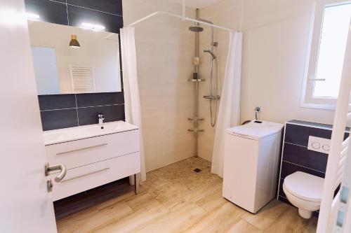 Saint-Lattierにあるla maison Cavanchaの洗面台、トイレ、鏡のあるバスルーム